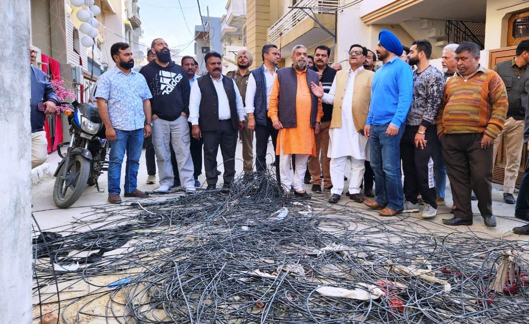 ਲਟਕਦੀਆਂ ਤਾਰਾਂ (2)