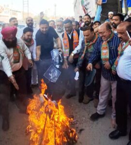 IMG-20260402-WA0051(1)